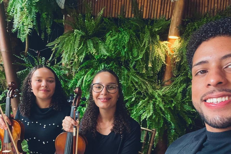 Violinos e Violão