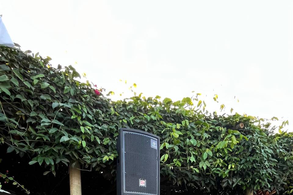 Sonorização