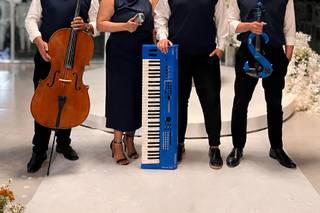 Wonder Cia Musical.