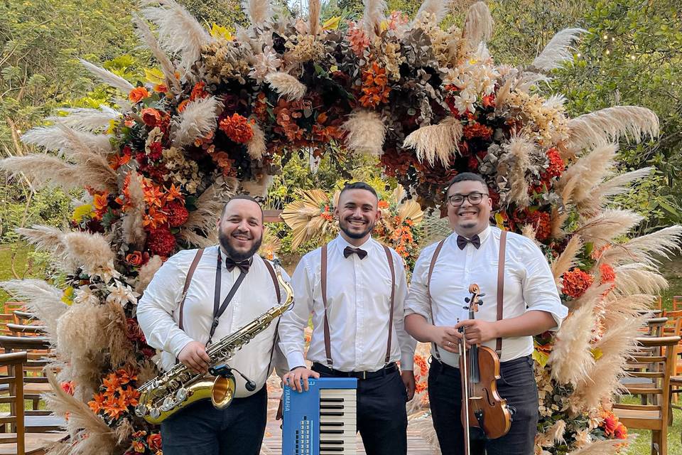 Músicos profissionais