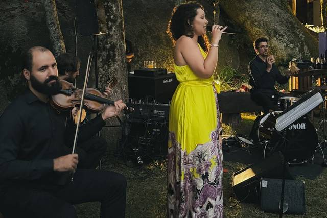 Eventos - Casamentos