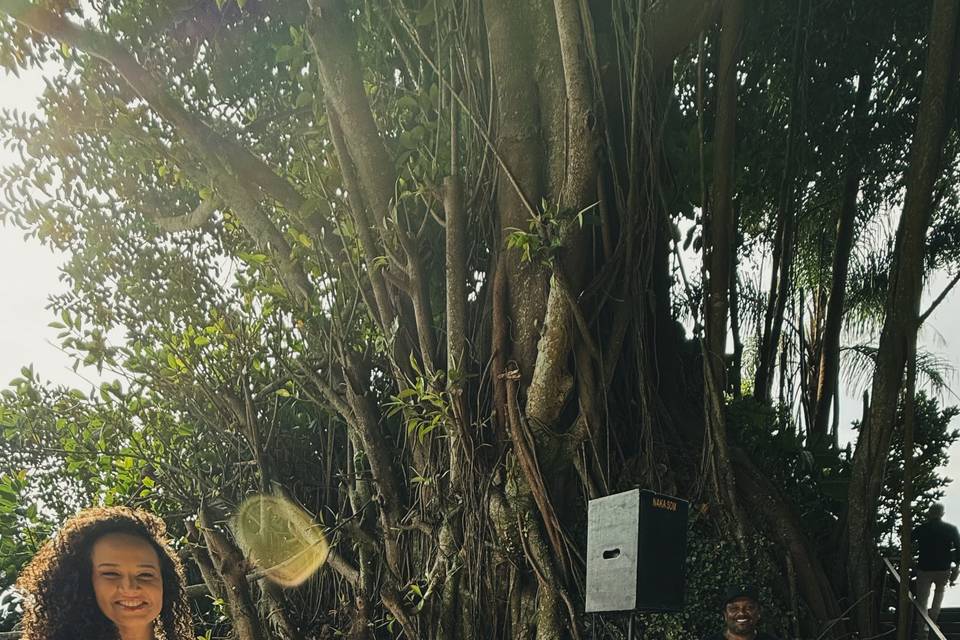 Eventos - Casamentos