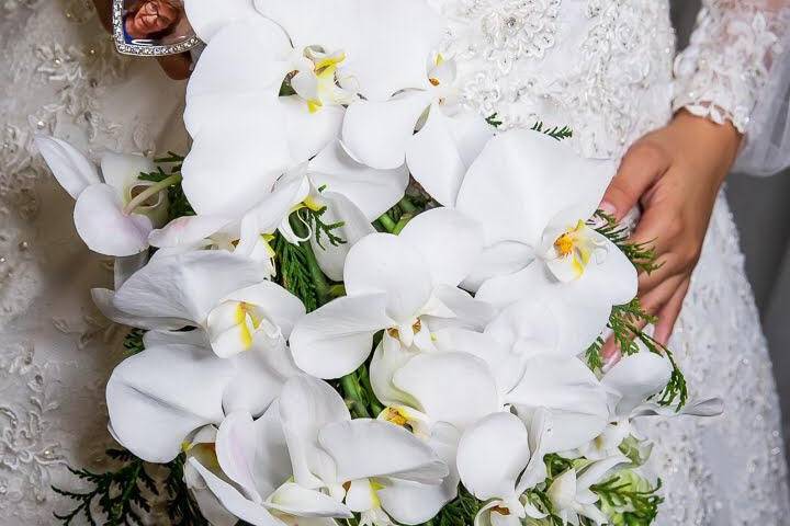 O Clássico Cascata de Orquídea