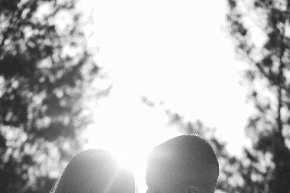 Wedding Y & H