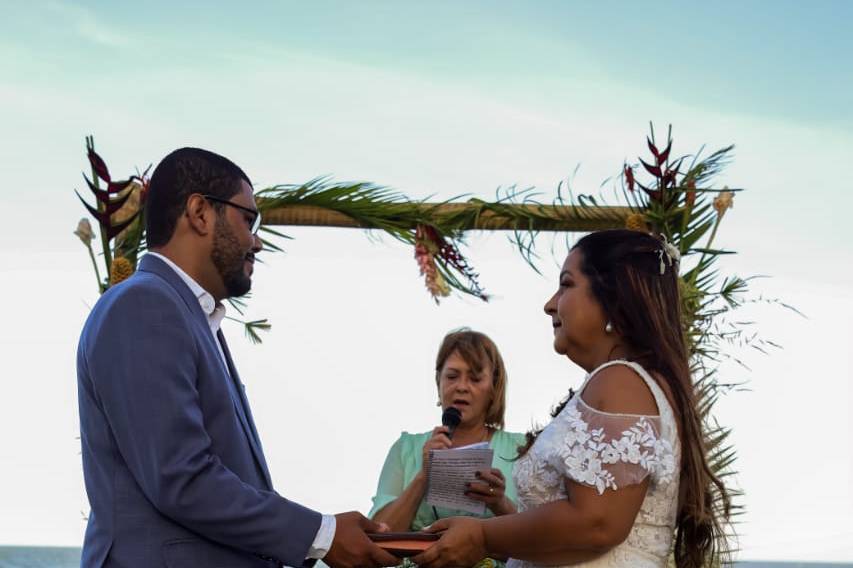 Márcia Frota Celebrante