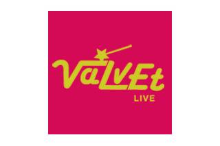 Valvet - DJ com violinista logo