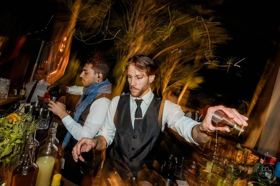 Nossos Bartenders