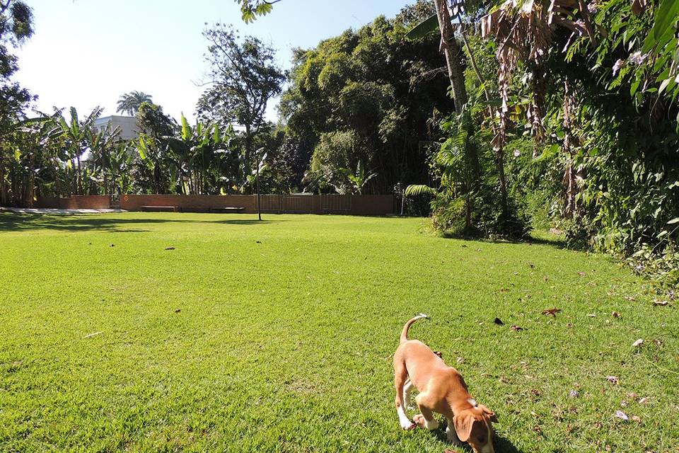 Espaço Canto do Alto