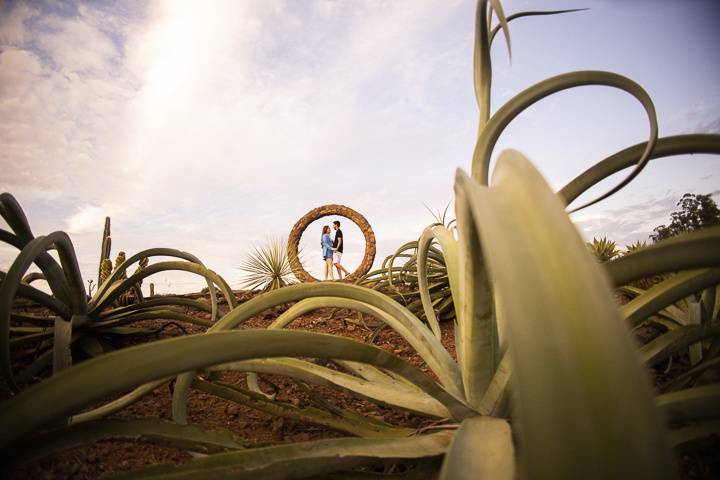 Pre wedding