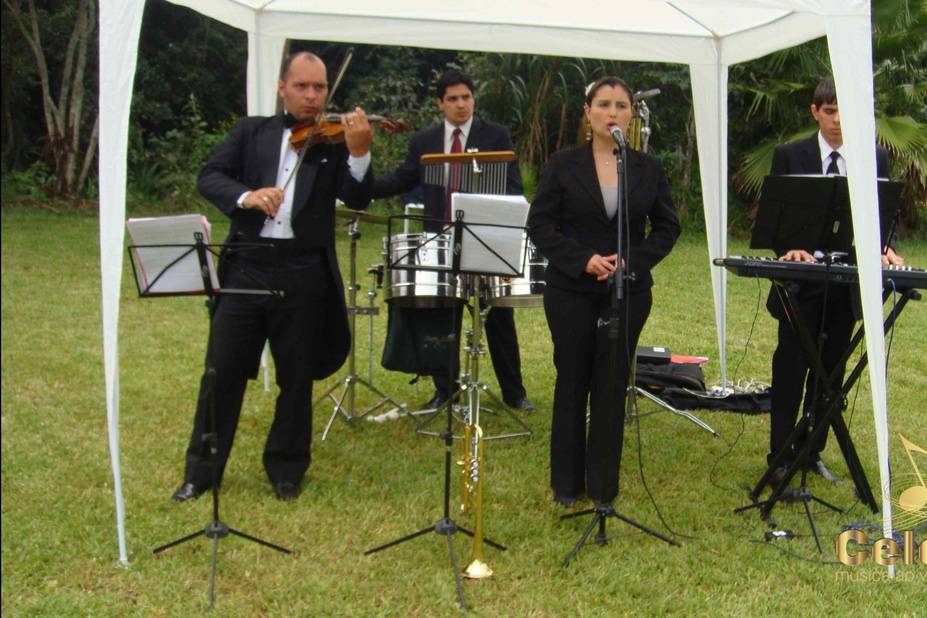 Orquestra celebrar