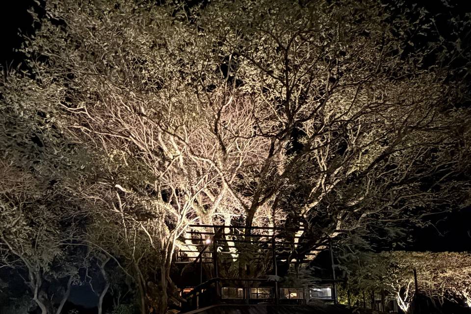 Deck iluminado