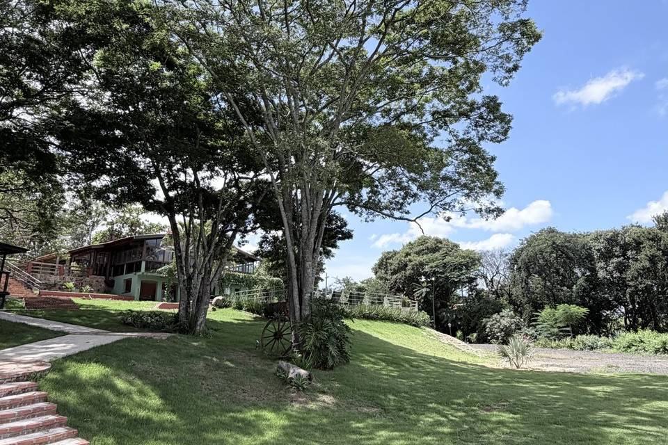 Arco do jardim