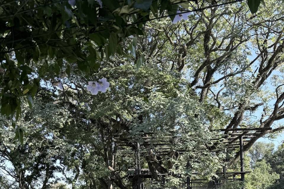 Passarela do campo