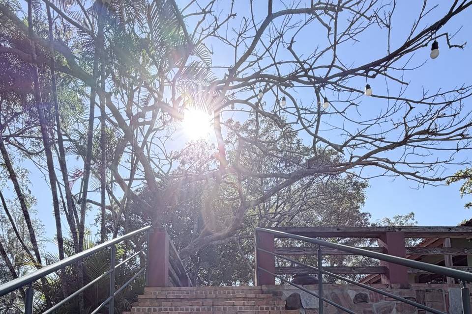 Escadaria no bosque