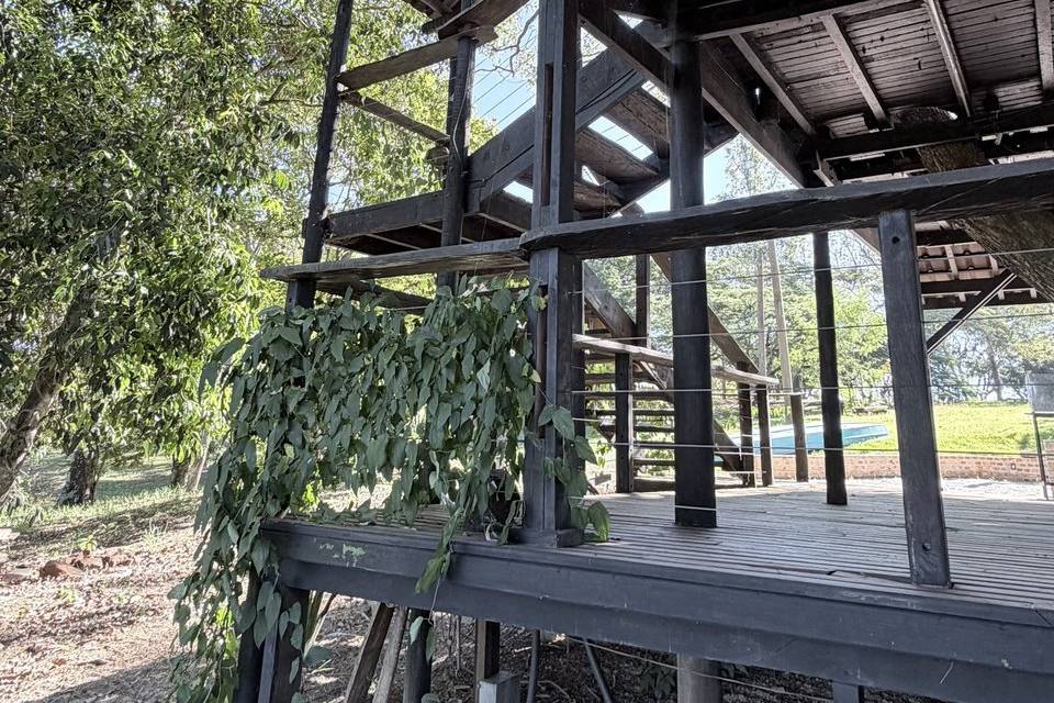Casa da Arvore