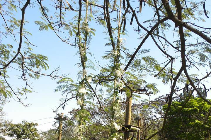 Um toque junto à natureza