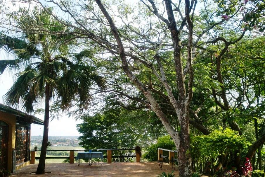 A natureza sempre presente