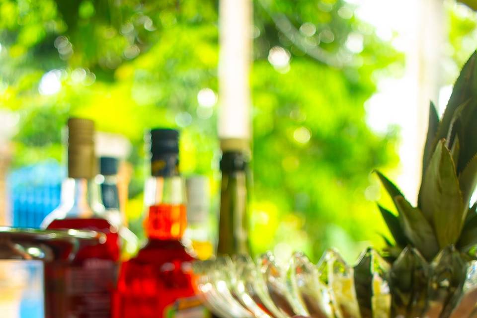 Mr Cocktail- Serviços