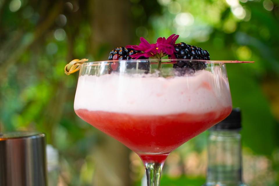 Mr Cocktail- Serviços