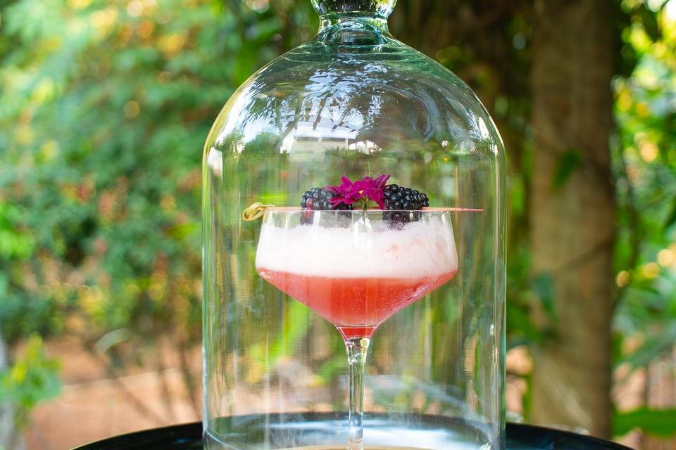 Mr Cocktail- Serviços