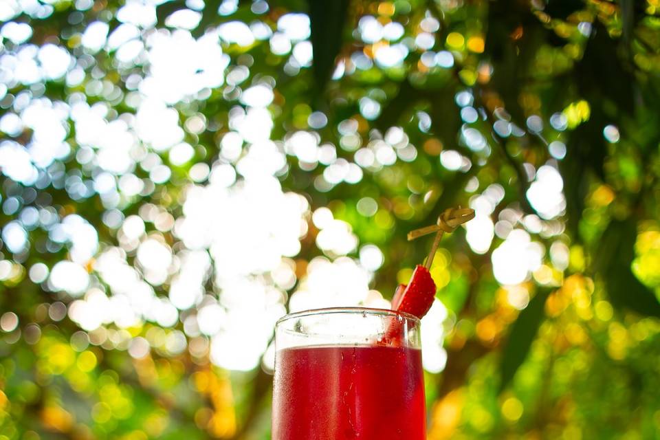 Mr Cocktail- Serviços