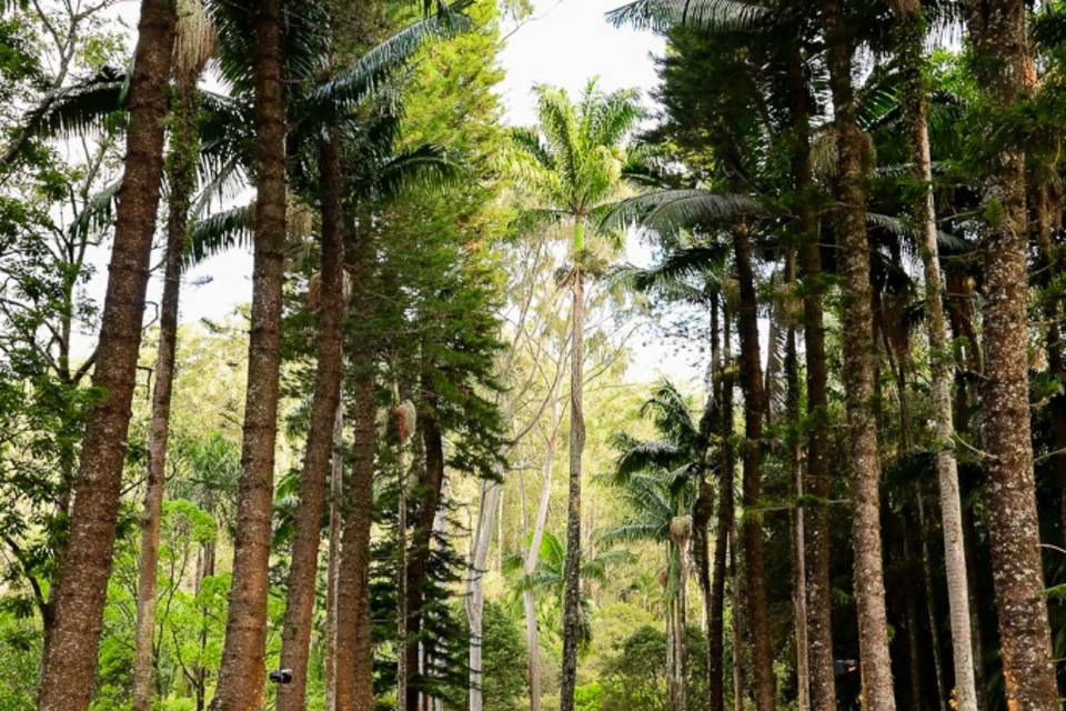 Fazenda Vila Rica SP