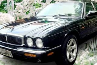 Jaguar da Noiva