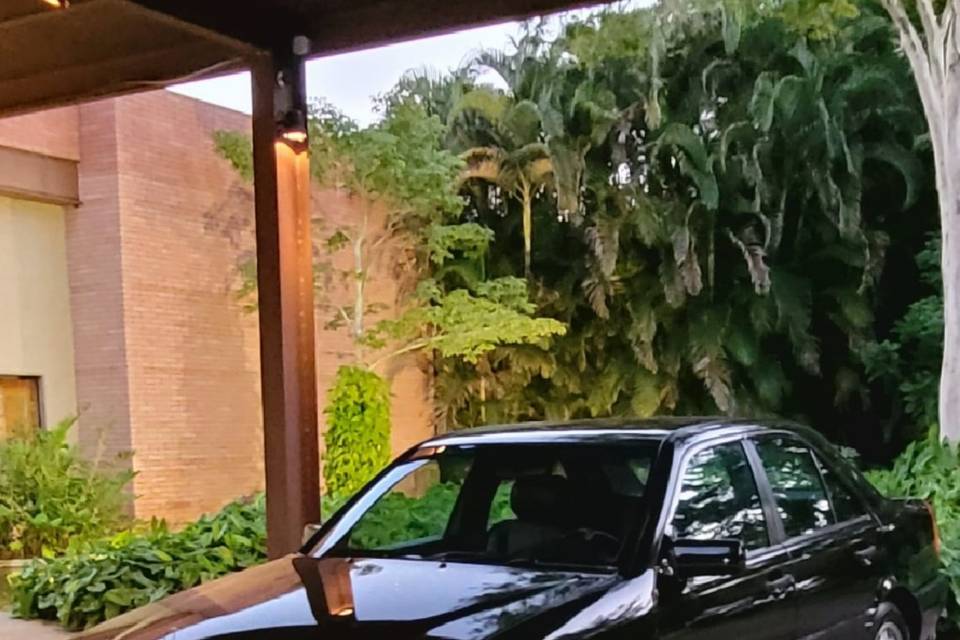 Space Gallery Garden