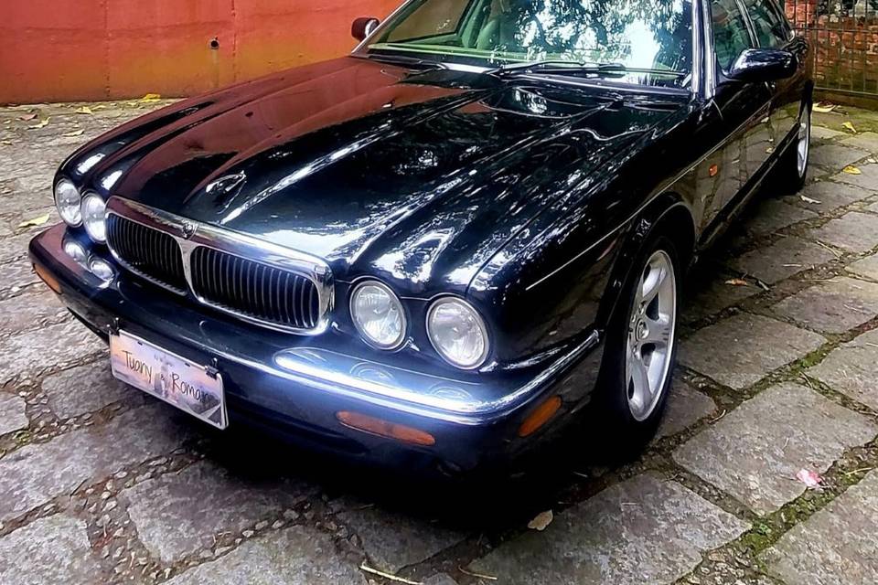 Jaguar da Noiva.