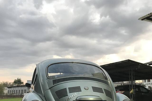 Beleza em cada ângulo