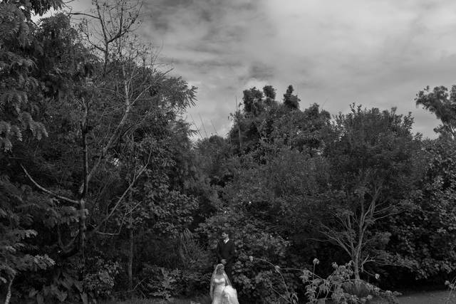 Casamento de Dia