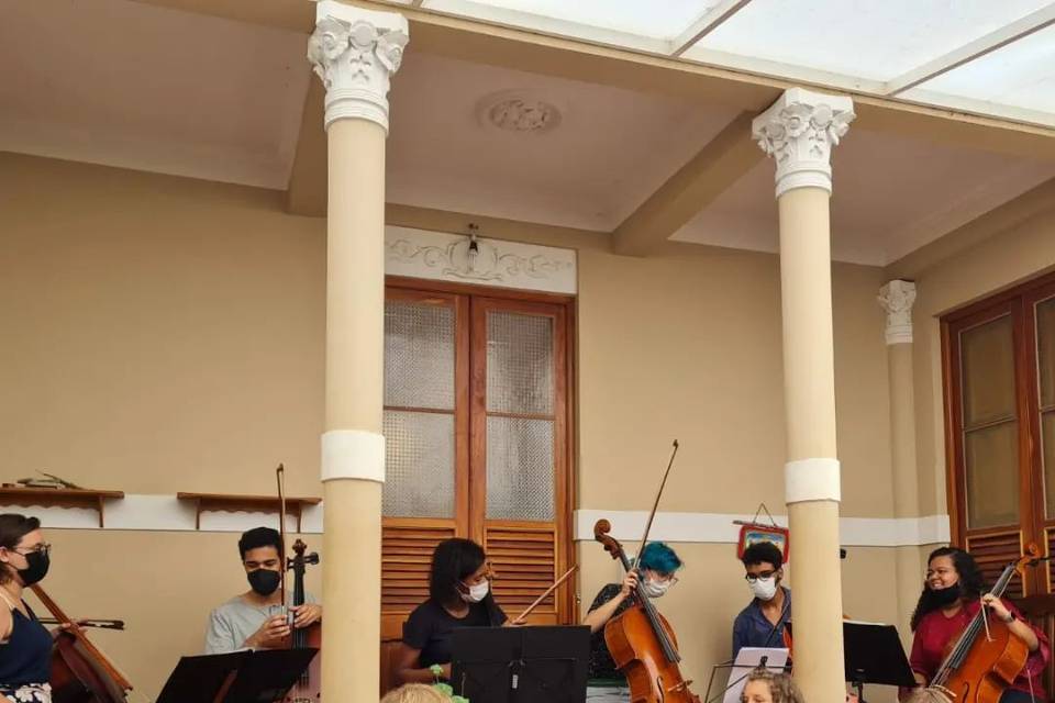 Grupo de Violoncelos