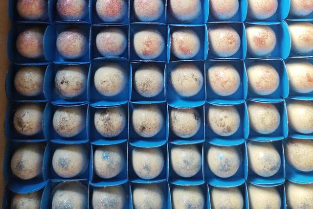 Trufas e brownies