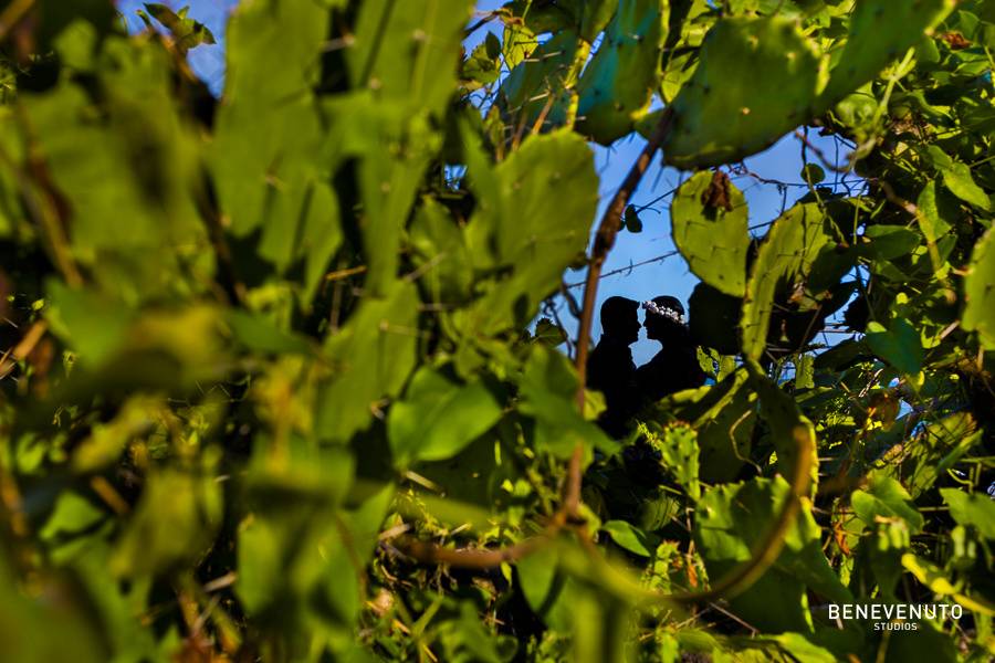 Silheta em meio à natureza.