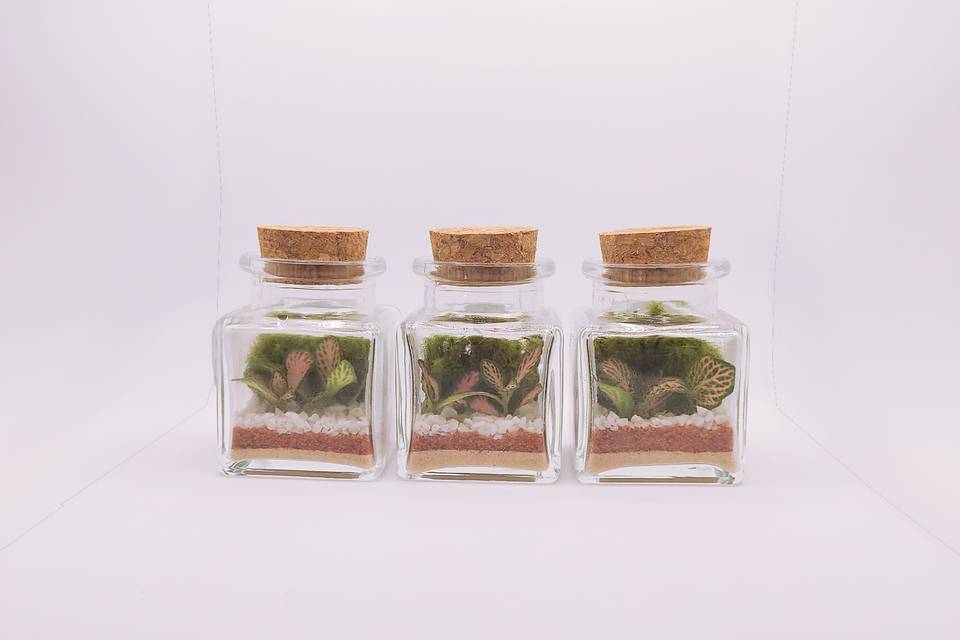 Mini Terrário Elza