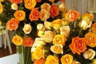 Rosas para decorar mesas