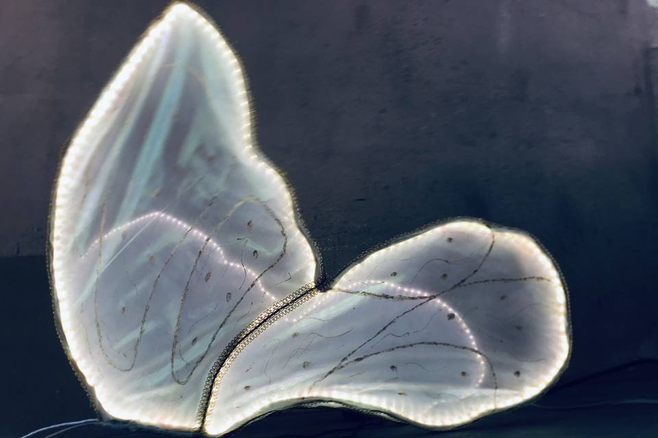 Borboleta de Led