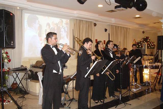 Músicos profissionais
