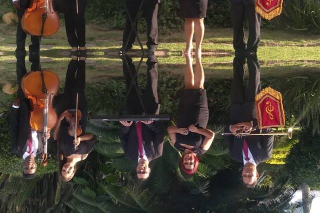 Pizzicato cerimonial