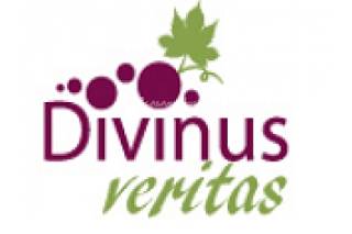 Divinitus Veritas logo