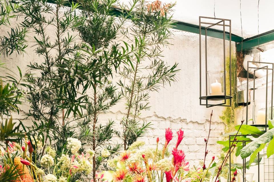 Bar botanico