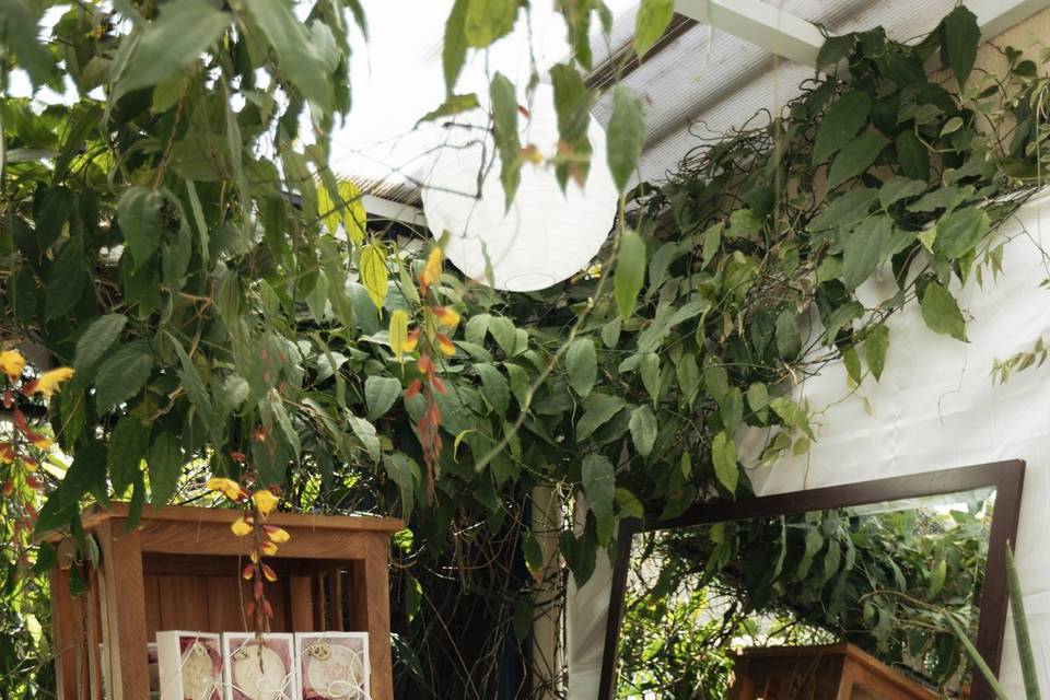 Bar botanico