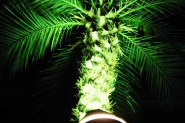 Feixes de luz