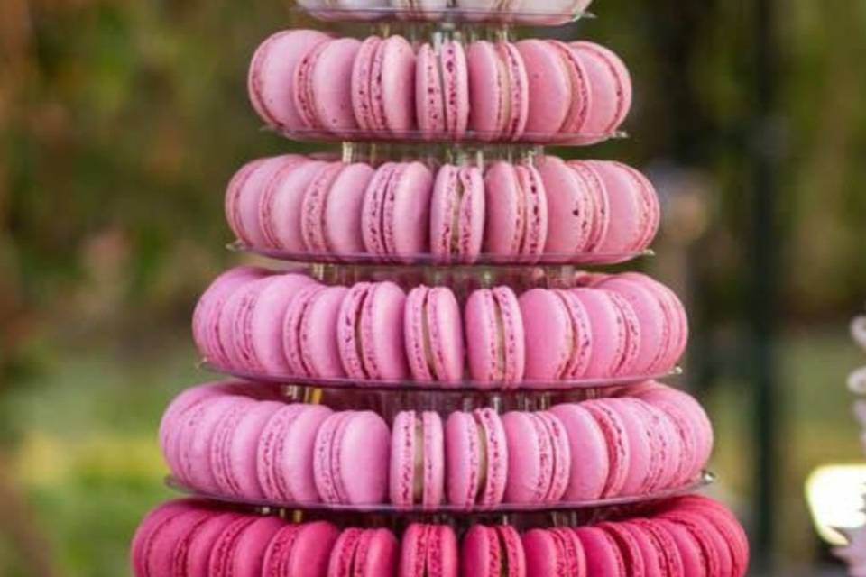 Torre pink