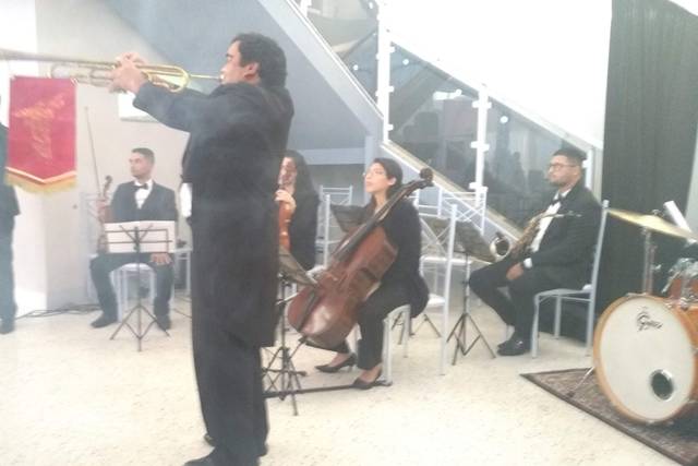 Salto - Hollywood Fest