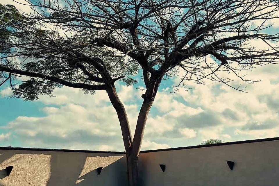 Espaço cerimônia externa
