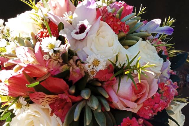 Amor de boquet