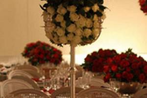 Cedro Eventos