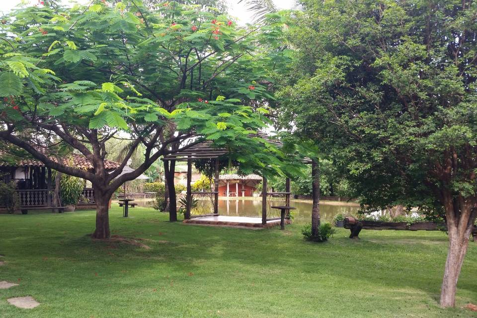 Jardim