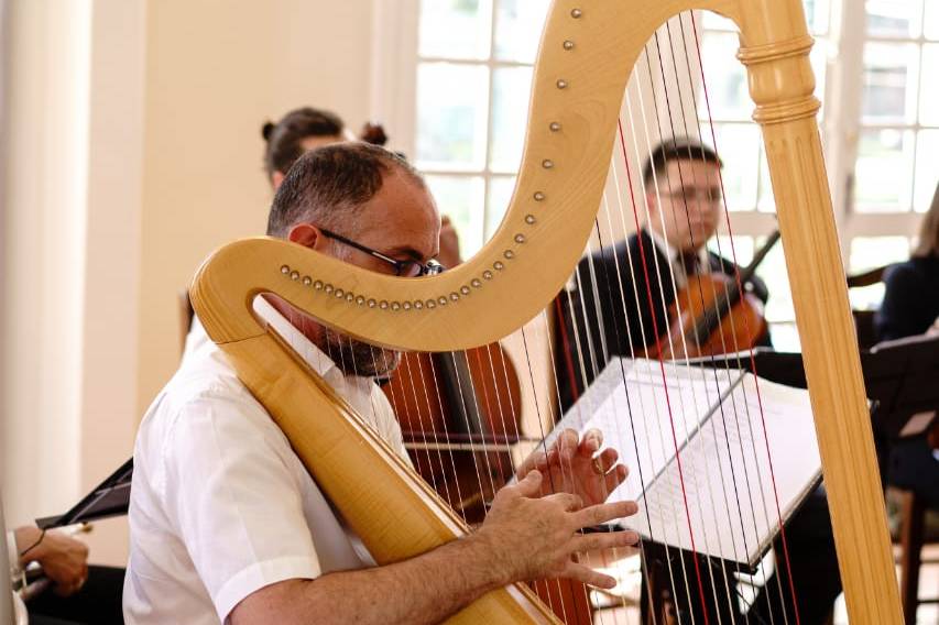 Harpa em Curitiba
